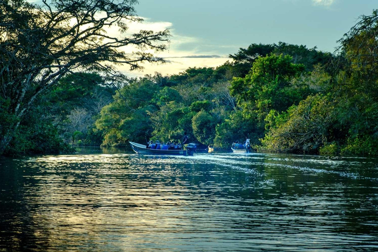 From Colombo: Bentota Day Tour with Madu River Safari