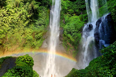 Bali : Ultimate Waterfall Tour (All Inclusive & Private)