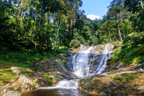 Kuala Lumpur: Customize Your Cameron Highlands Itinerary From KL: Discover Cameron Highlands’ Tea Valleys & Farms