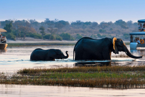 2-Day Chobe Safari at Elephant Valley Lodge