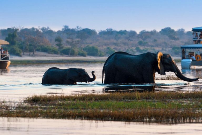 2-Day Chobe Safari at Elephant Valley Lodge