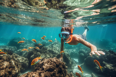 Bali: Amanecer Observando Delfines, Excursión de Natación y SnorkelTour en barco privado con punto de encuentro