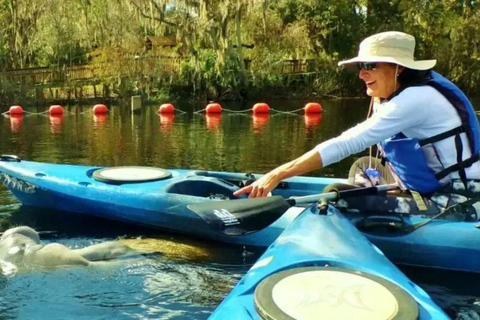 Silver Springs: Clear Kayak Wildlife Tour Sit On Top Kayak