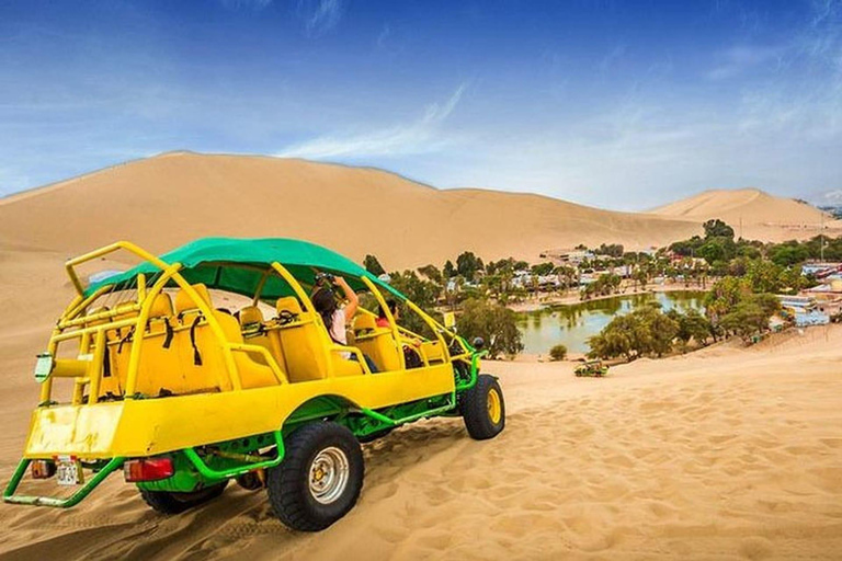 From Lima: Paracas and Huacachina Day Trip with Buggy Ride