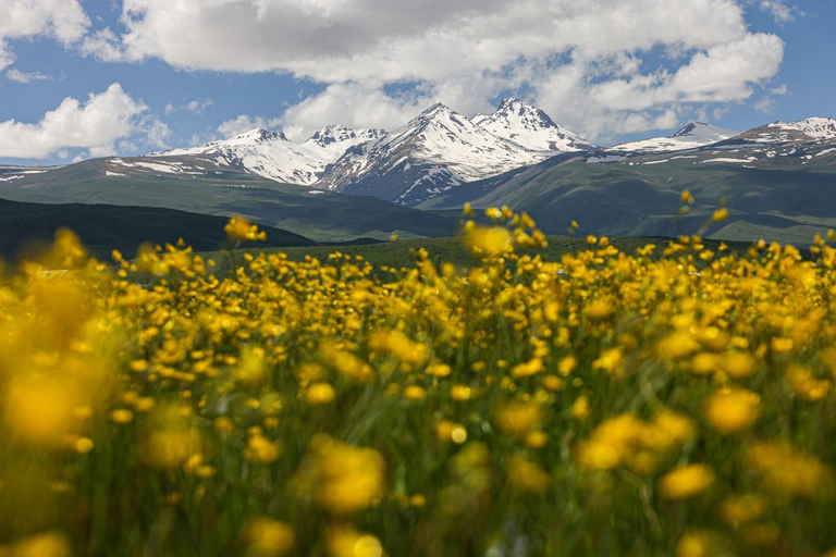 Yerevan: Amberd Fortress & Kari Lake Day Trip