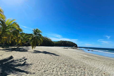 Costa Rica: Privater Shuttle-ServiceSan Jose Puerto bis Viejo / Cahuita und umgekehrt