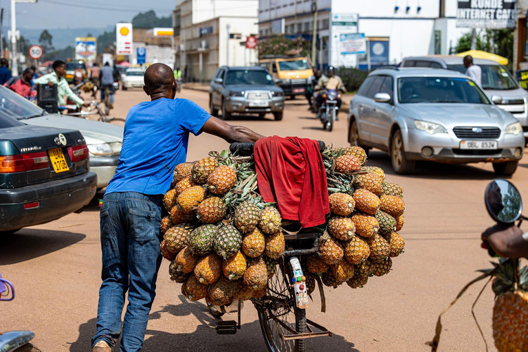 Visite guidée de Kampala avec guide régional