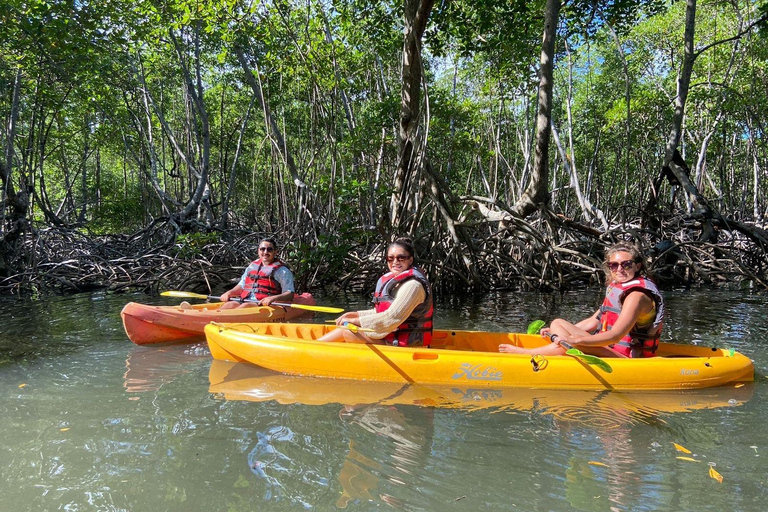 Punta Cana: Los Haitises National Park Hiking and Kayaking