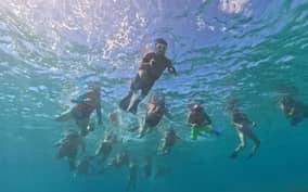  - Canarie.it