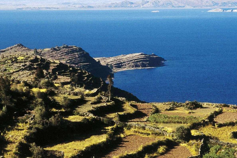 Z Cusco: Jezioro Titicaca: 1-dniowa wycieczka autobusowa + lunch