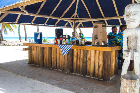 Punta Cana: Saona Island & Altos de Chavón Day Trip