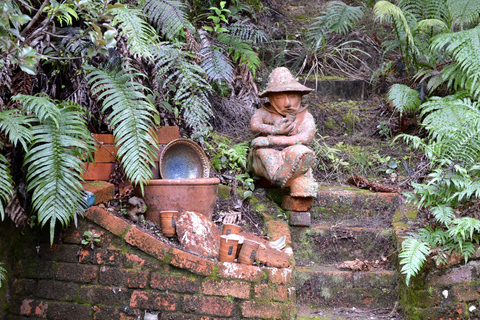 Auckland : Visite privée de la plage, des grottes et de la forêt de Coromandel