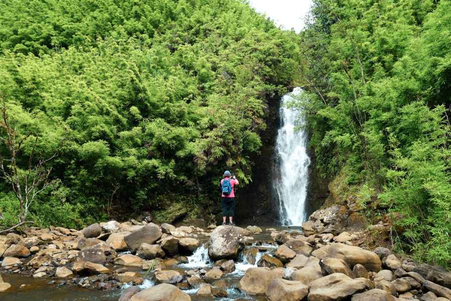 Maui: Wasserfall- & Regenwald-Wanderung mit Picknick. Foto: GetYourGuide