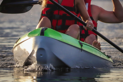 Cancun: Morning Kayak AdventureCancun: Sunrise Kayak Adventure