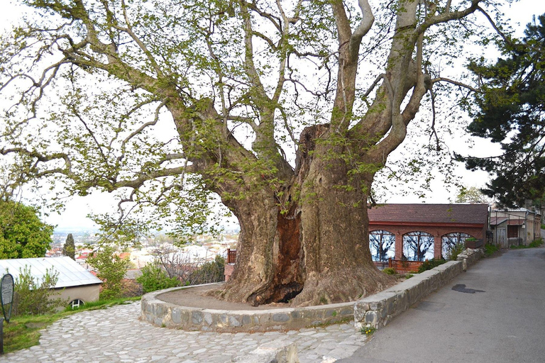 Tbilisi: 4-Day Georgia and Armenia Tour with Guide