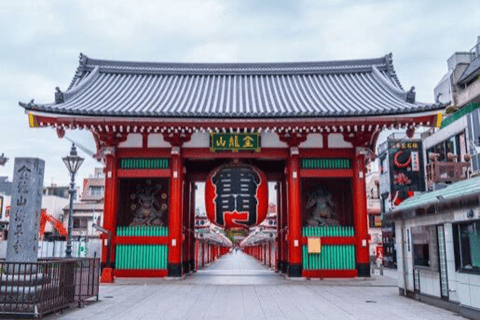From Tokyo: Tokyo Full Day Private Sightseeing Tour