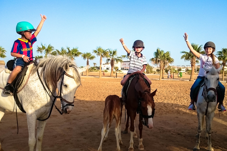 Hurghada: Sunset Sea, Desert Horse W Opt, Dinner, Stargazing Sunrise Hurghada: 4-hour Horse Ride With Swim Stop