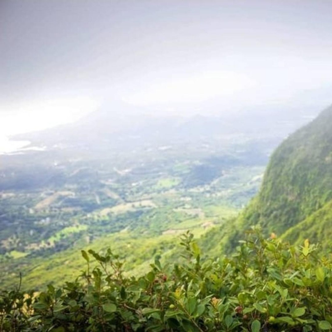 피톤 드 라 쁘띠 리비에르 누아르 하이킹 | GetYourGuide