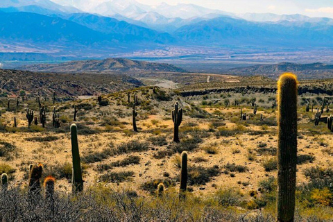 Excursión de un día a Cachi desde Salta