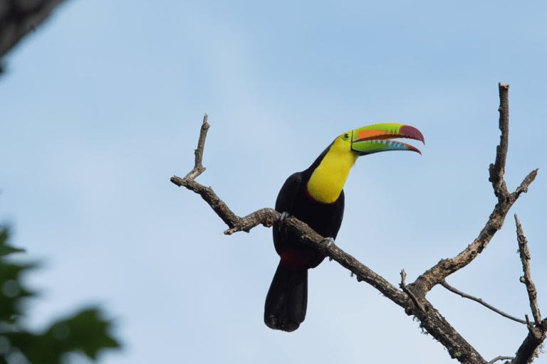 Minca : visite de 2 jours dans la Sierra Nevada avec Jungle Joe