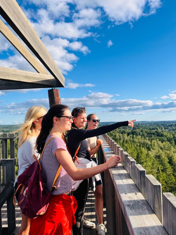 Oslo: Relaxing Hike with Panoramic Fjord Views with a dog