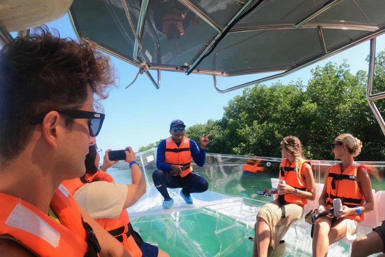 Paseo en bote transparente cancún