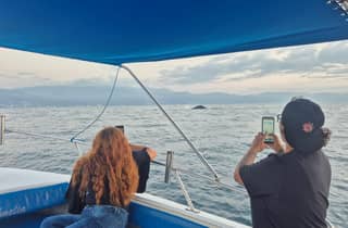Puerto Vallarta: Whale Watching mit Guide