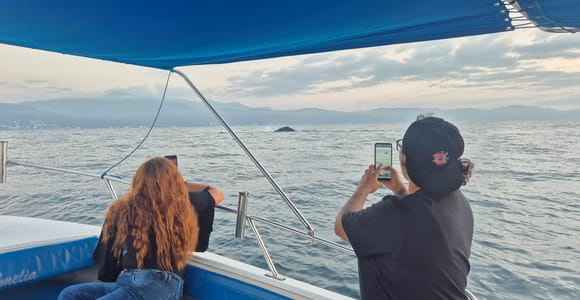 Puerto Vallarta: Whale Watching with Guide