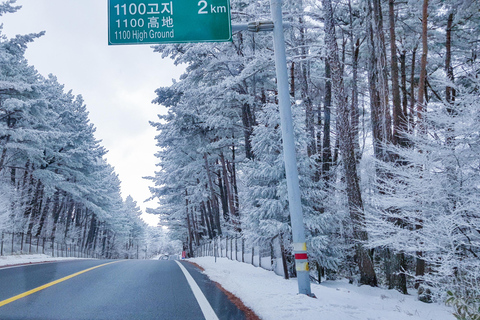 Jeju : visite d&#039;une journée avec Hanbok, Hallasan, Camellia et Jjimjilbang