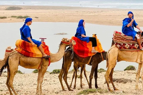Agadir: Camel Ride With Tea & BBQ Dinner Option
