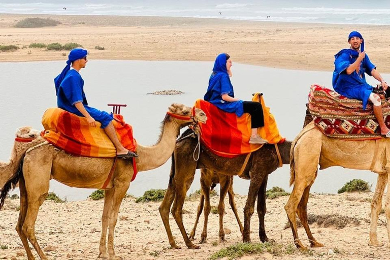 Desde Agadir: Paseo en Camello y Excursión a los Flamencos
