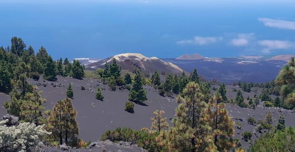 La Palma: Guided E-Bike Tour (Trekking)