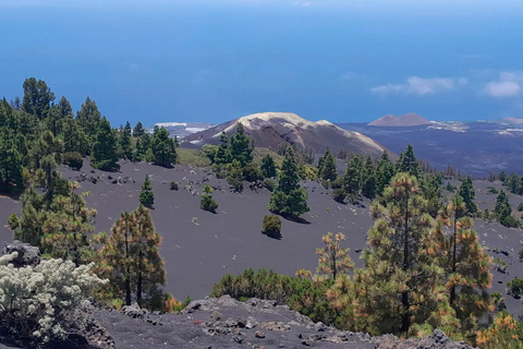La Palma: Geführte EBike-Tour (Trekking)