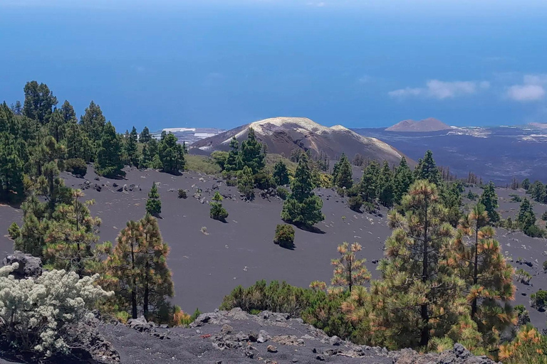 La Palma: Geführte EBike-Tour (Trekking)
