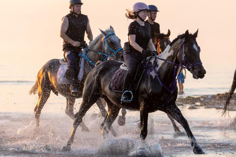 Durrës: 1-Hour Horseback Riding for Experienced Riders