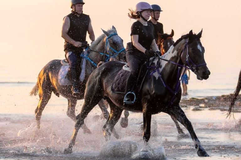 Durrës: 1-Hour Horseback Riding for Experienced Riders
