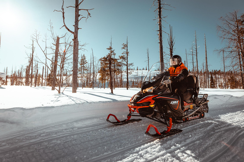 Levi: Safári de dia inteiro de snowmobile na natureza selvagem