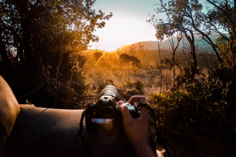 Radżastan: Prywatne safari jeepem w Parku Narodowym Ranthambore