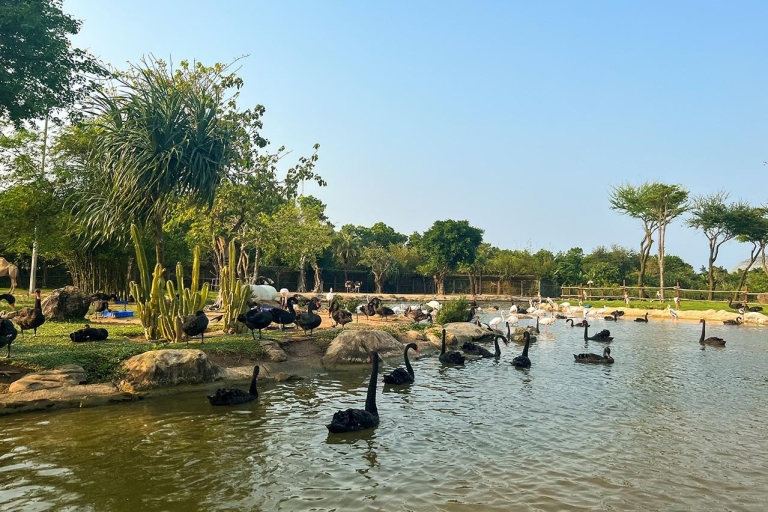 Hoi An: Safari fluvial nocturne avec dîner aux chandelles sur la plageVisite privée de Hoi An