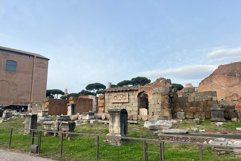 Small Group Guided Tour Colosseum Roman Forum, Palatine Hill Standard Tickets
