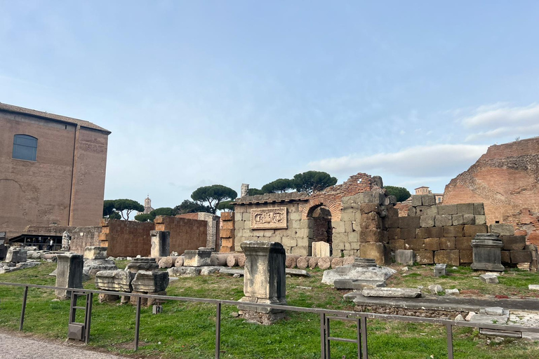 Small Group Guided Tour Colosseum Roman Forum, Palatine Hill Standard Tickets