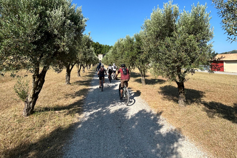 Aureille: Les Civadières, Roquemartine en Les Opies op de fietsAureille: De grote Opies-fietstocht Privé