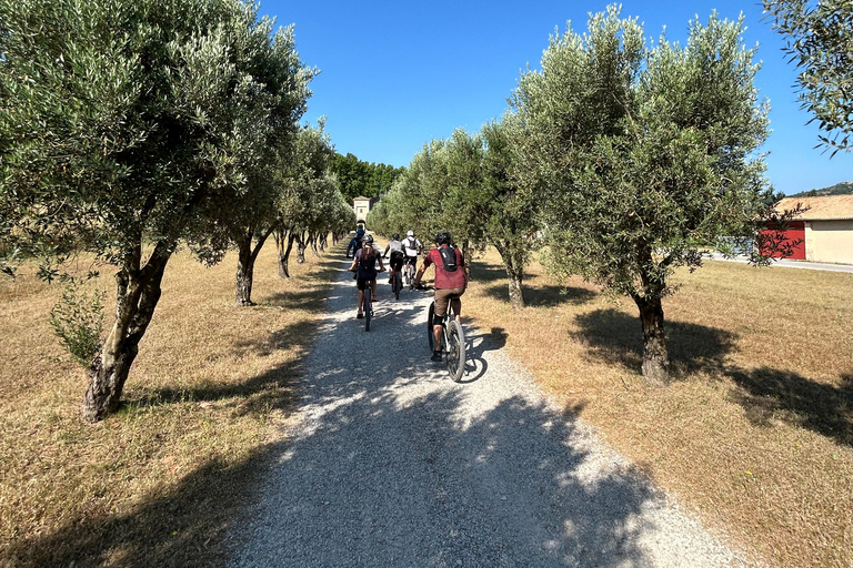 Aureille: Les Civadières, Roquemartine en Les Opies op de fietsAureille: De grote Opies-fietstocht Privé