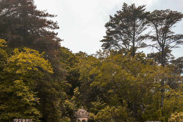 Half-Day Sintra Pena and Regaleira palace with small group Half-Day Sintra Pena and Regaleira Small Group