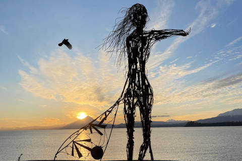 Puerto Varas: Half-Day City Tour, Puerto Montt Included