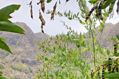 Santiago Island: Hike Serra Malagueta & Xáxá & Mato Correia