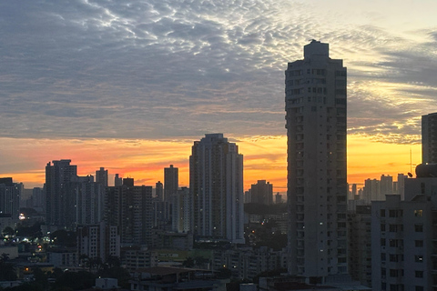 Ciudad de Panamá: tour de medio día a las esclusas de Miraflores y el casco viejo