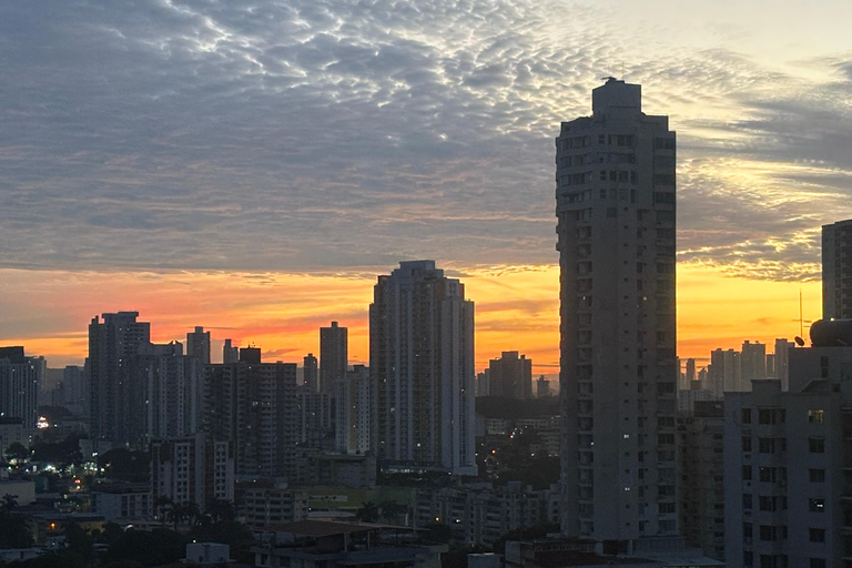 Ciudad de Panamá: tour de medio día a las esclusas de Miraflores y el casco viejo