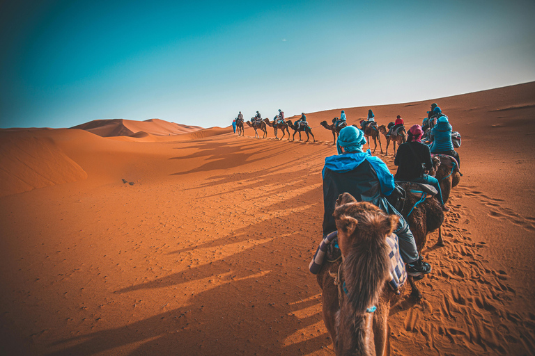 From Marrakech: 2-Day Zagora Desert Tour Camel & Luxury Camp Shared Tour With Luxury Camp