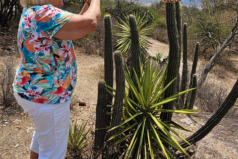 Hierve el agua: A Day of Adventure, Culture, and Flavor